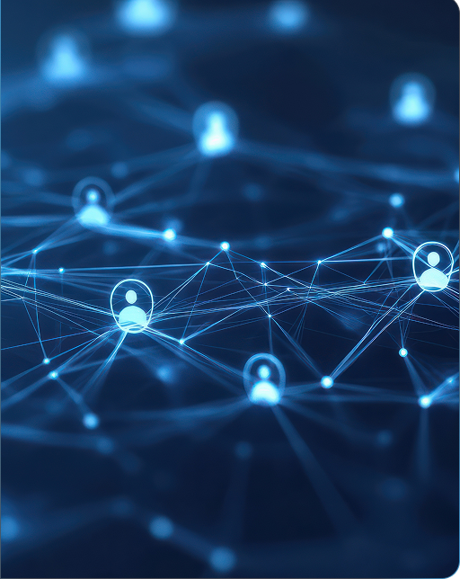 Visual de conexiones y redes